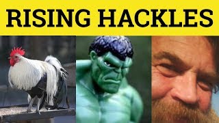  Hackles  Get My Hackles Up  Raise My Hackles Meaning  Rising Hackles Exdanles