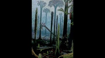 The True Lepidodendron that kids Want to deny #alightmotion #lepidodendron #edit #analoghorror #vhs