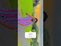 #comedyvideos #lifeisbutadream #backgroundmusic #dance #royaltyfreemusic #love #paisayenyasathiupay