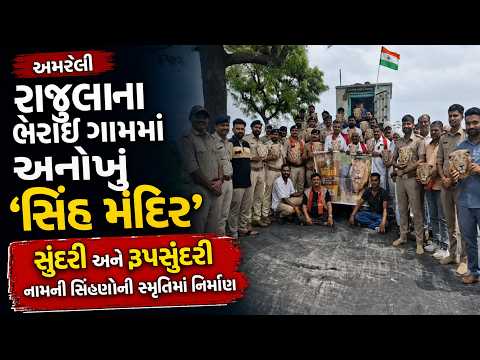 #amreli | રાજુલાના ભેરાઈ ગામમાં અનોખું ‘સિંહ મંદિર’.| #drashtikonnews