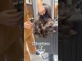 Hair sculpture by #sajjadmakeup #fashion #fypシ #hairstyle #viralvideo #haircut #hairprofessionals #