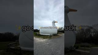 Roadside American Attractions: The Long Island Duck🦆 #longisland #roadside #america #duck #newyork