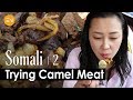 Trying Camel Meat for the First Time! Somali Food Experience