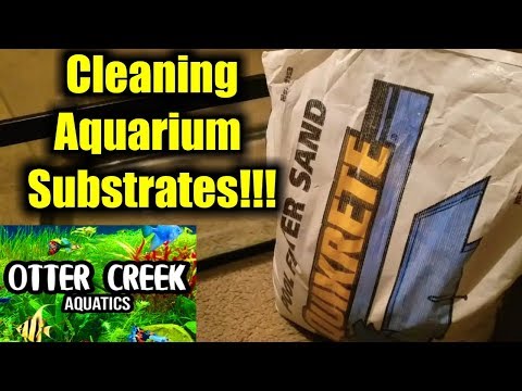 How To Clean Sand Substrate For Aquarium | Pool Filter Sand Substrate