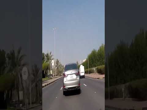 نعناع الجينية 