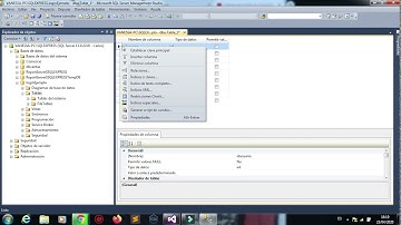login en visual basic y sql serve - Parte 1