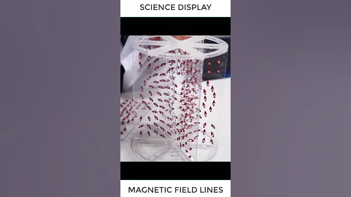 Subscribe #Physics61   Please #shorts #shortvideo #magnetic #field #experiment #trend - DayDayNews