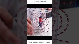 Subscribe #Physics61   Please #shorts #shortvideo #magnetic #field #experiment #trend screenshot 4