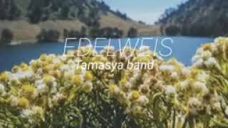 Download Lagu Lagu Edelwies MP3 Lagu Edelwies