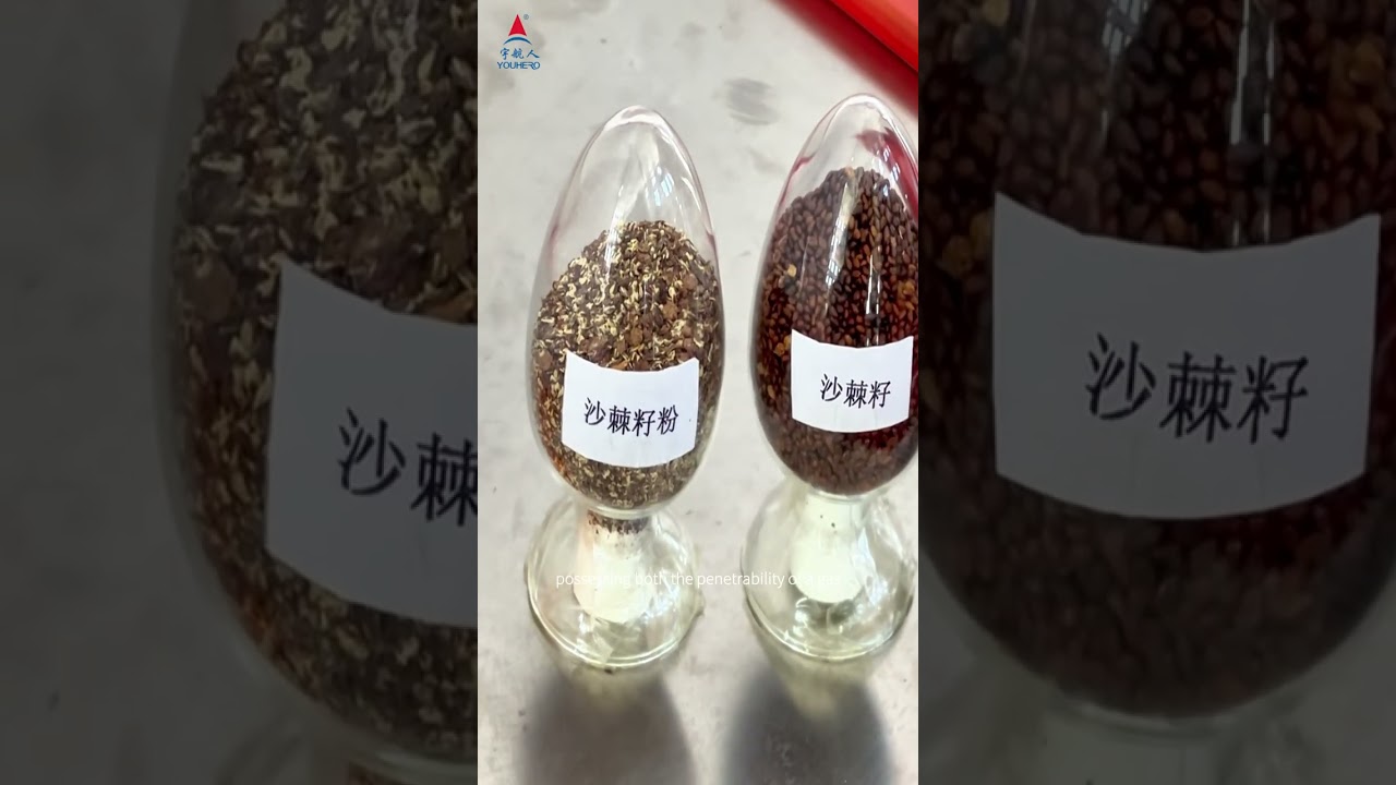 Sea Buckthorn Oil Production | Unveil Complete Process at Youhero Factory