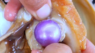 Perfect purple pearls! Giant sea snail has golden pearl inside