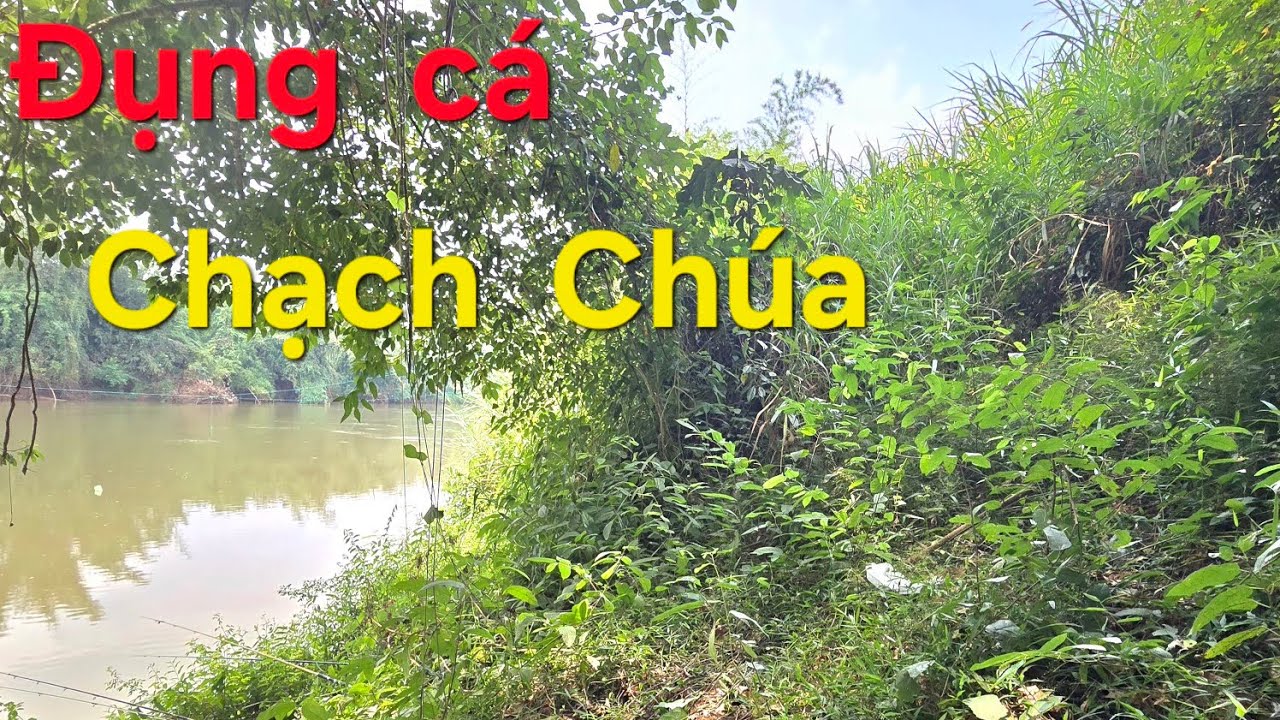 Câu  cá sông Bé  đụng  cá chạch
