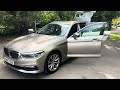 BMW 520i SE 