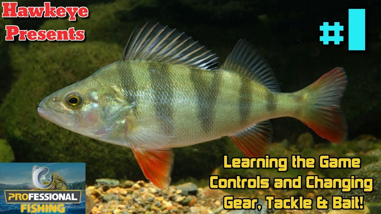 Professional Fishing (Beta Test) - Learning the Game Controls and ...