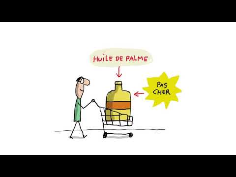 Vidéo: À quoi sert l'huile de palme ?
