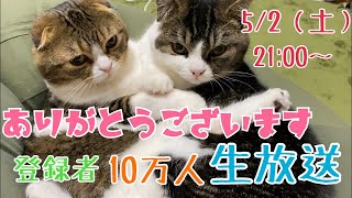 登録者10万人ありがとう生放送