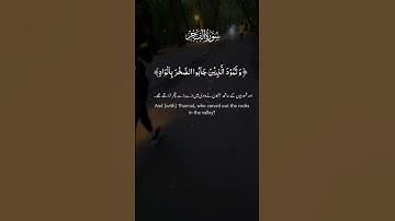 تلاوة عطرة لآيات من كتاب الله #القرآن_الكريم #القرآن #الله #اكسبلور #المصحف #foryou #راحة_نفسية