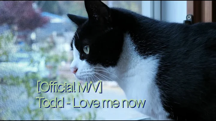 [Official M/V]Todd - Love me now
