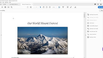 PDF Side By Side Demo
