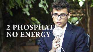 Breakthrough Junior Challenge - 2017 - Anwar Daoud - Entry - Photosynthesis