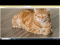 53. Jawaban Latihan HTML 1 - Belajar HTML CSS JS untuk Pemula [2024]
