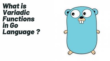 What is Variadic Functions | Golang Tutorial |