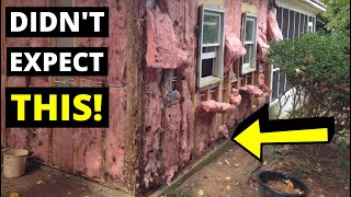 Celebrity I Never Expected TERMITE DAMAGE THIS BAD!! (What Happens When Water + Termites Hide In Your Home) Profile
