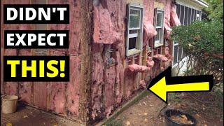 I Never Expected TERMITE DAMAGE THIS BAD!! (What Happens When Water + Termites Hide In Your Home)