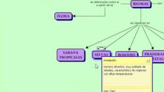 Celebrity tutorial cmap parte 2 Profile