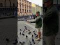Уличный художник кормит птиц на набережной канала Грибоедова в Санкт-Петербурге...