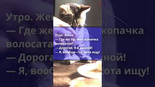 АНЕКДОТ ПРО ЖЕНУ И КОТА. ПРИКОЛЬНЫЙ АНЕКДОТ. ЮМОР. ШУТКА. #смешныеанекдоты #новыеанекдоты #анекдоты