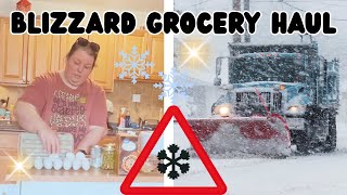 Download Lagu A Blizzard 🌨️ Is Coming | Grocery Haul | Homebody Chronicles  MP3