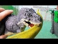 Lezione di Caccia con il Professor Indominus Rex [Il Parco dei Dinosauri 🐾 Episodio 11]