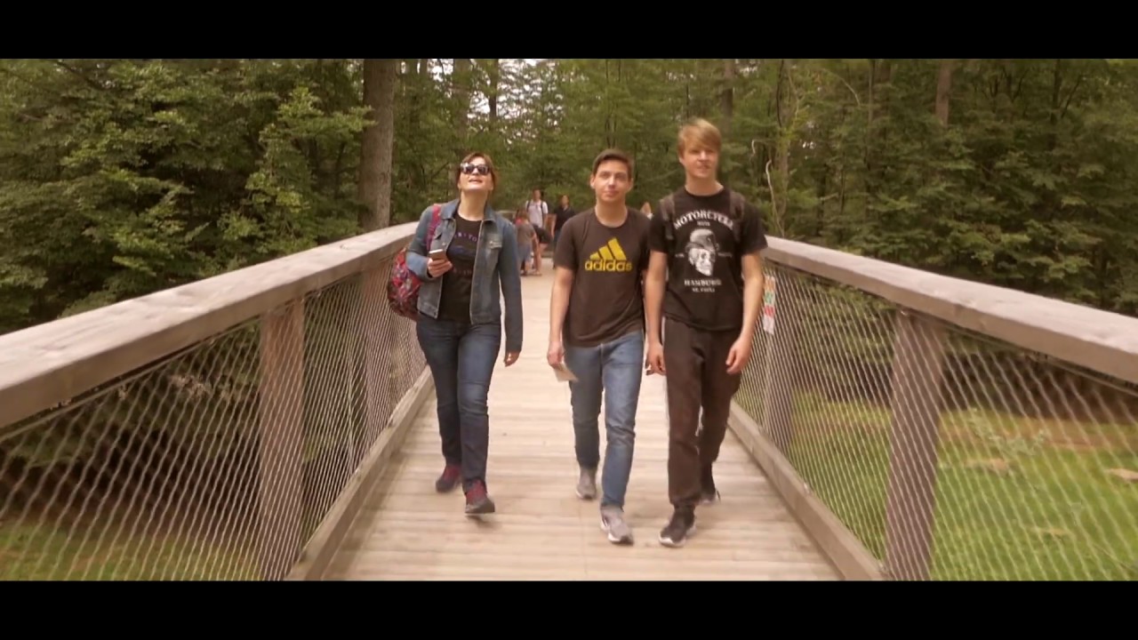 Sommerberg Bad Wildbad