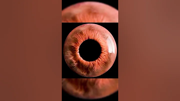 Things That Look Scäry when Zoomed In 🔥🔥 #shorts #viral