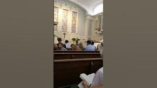 Ciocarlia  (The Skylark) - Pan Flute & Organ