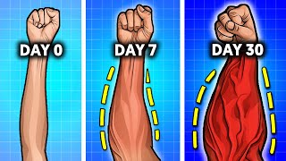 Top Exercises For Thick Veiny Forearms