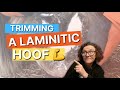 How to trim an overgrown laminitic hoof with a stretched white line