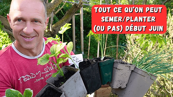 Semis et plantations de début juin ► Go go go !