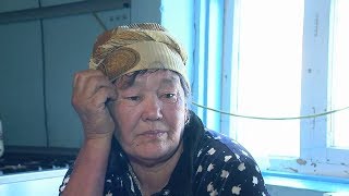 видео: Дау-дамайсыз: Бірінің ақыл-есі кем, екіншісі – таңдайсыз. 7 баласы бар үйдегі сұмдықтар картинка: Дау-дамайсыз: Бірінің ақыл-есі кем, екіншісі – таңдайсыз. 7 баласы бар үйдегі сұмдықтар