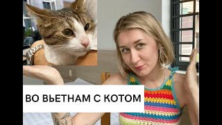видео: Во Вьетнам с котом за 28 часов | Проблемы с самолётом | Отношение к коту в Стамбуле и во Вьетнаме картинка: Во Вьетнам с котом за 28 часов | Проблемы с самолётом | Отношение к коту в Стамбуле и во Вьетнаме