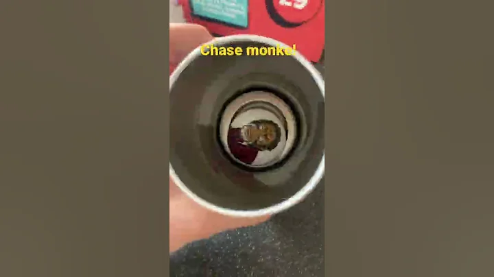 Monkeeee