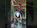 何してるのか気になるお馬さん
