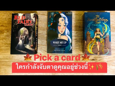 🍁Pick a card🍁ใครกำลังจับตาดูคุณอยู่ช่วงนี้✨🌾#ดูดวงความรัก #timeless