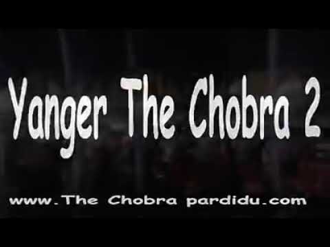 Download lagu Lagu joget terbaru Kelvin 4D labrak Audio The cobra Lagu joget terbaru Kelvin 4D labrak Audio The cobra
