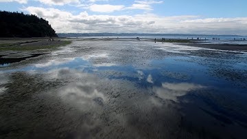 Drone Footage - Puget Sound Tide Flats
