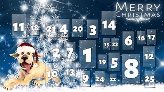 Dog Advent Calendar for Xmas screenshot 1