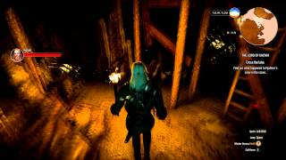 Witcher 3 - Brothers in Arms: Skellige Quest (Part 3 - Cave)