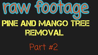 (Raw) #2 That one pine and mango crane job .