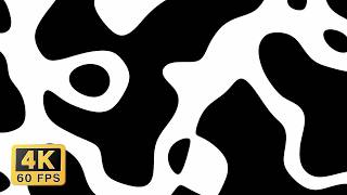 Peaceful and hypnotic black and white liquid pattern - 1 hour - 4K 60fps